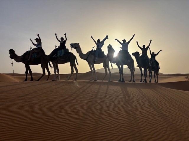 Camel caravan with riders silhouetted against the low sun in Merzouga