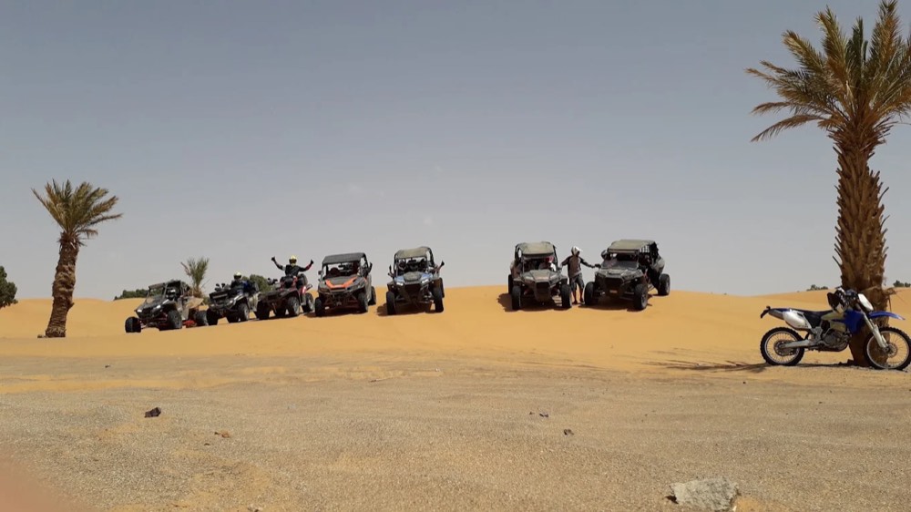 Row of dune buggies parked beside palm trees at the edge of the Merzouga desert