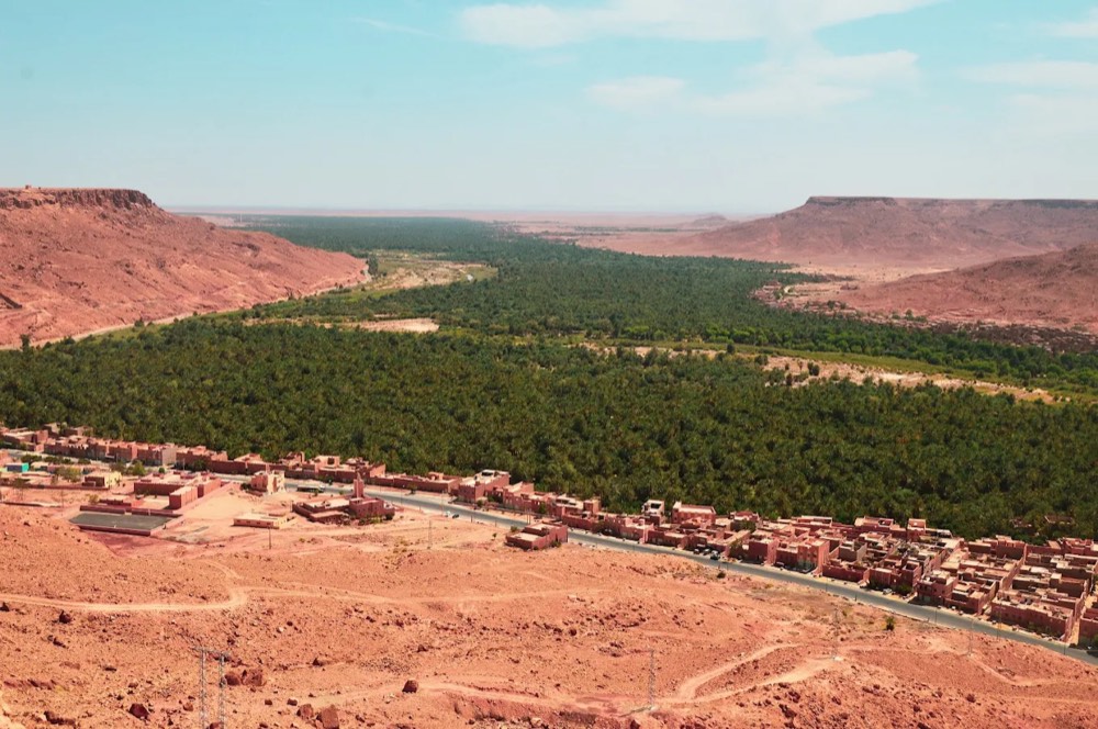Palm groves of the Ziz valley on the road to Merzouga