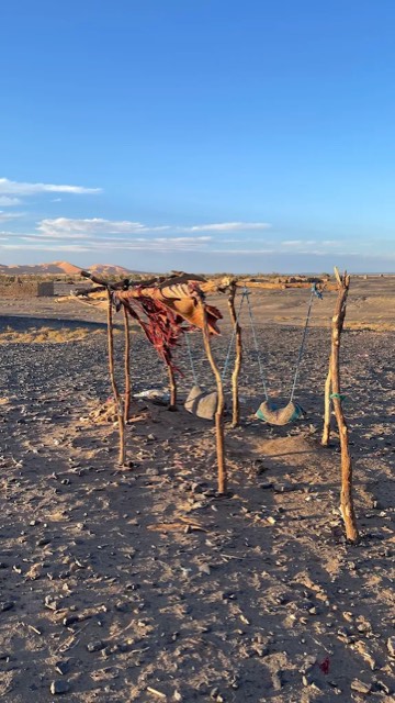 Simple nomad shelter made of branches on the stony desert near Merzouga